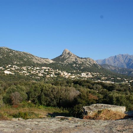 Joli 2 Chambres Sur Lumio, Vue A Couper Le Souffle. المظهر الخارجي الصورة